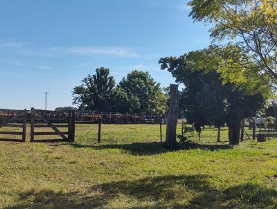 Fazenda para Venda, em Alegrete, bairro Zona Rural